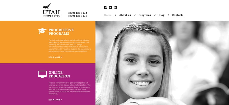 Online University Website Design