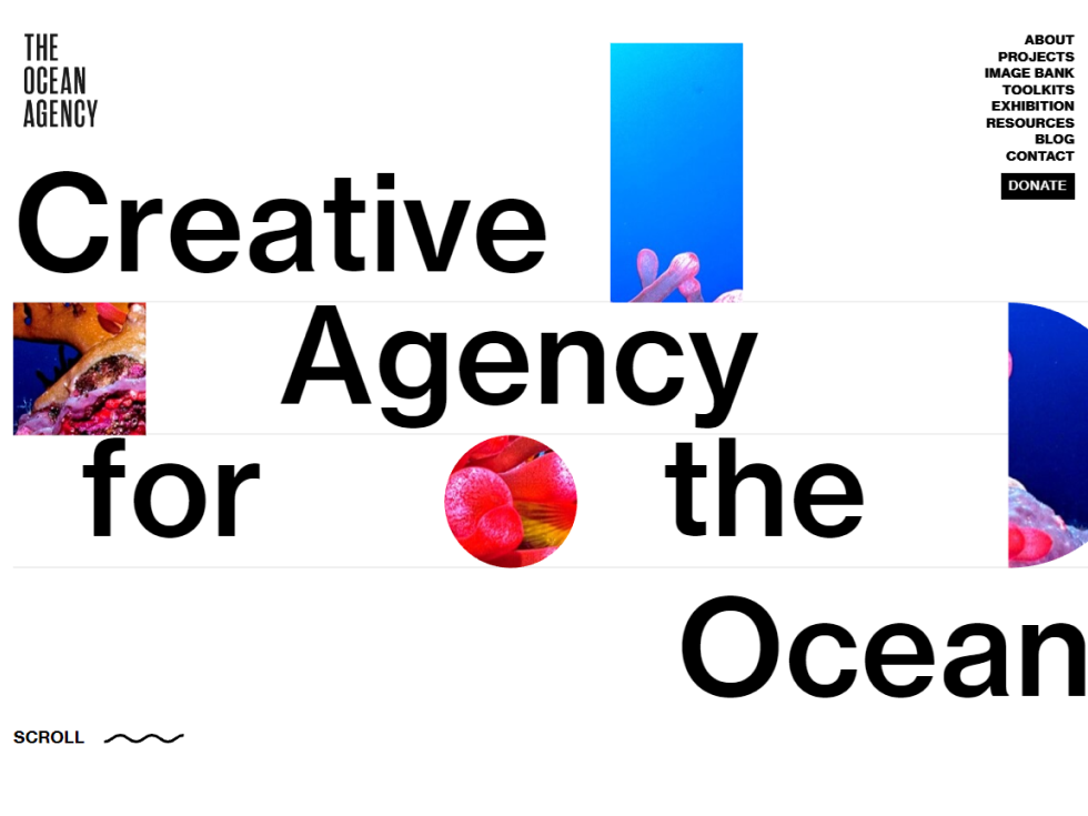 The Ocean Agency